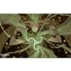 Ultra Pro Playmat Mystical Archive: Primal Command -Card Game Shop 9066769 1