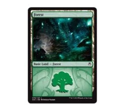Guilds Of Ravnica Guild Kit: Golgari -Card Game Shop forest golgari