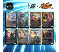 Secret Lair Drop Series: Secret Lair X Street Fighter (foil)